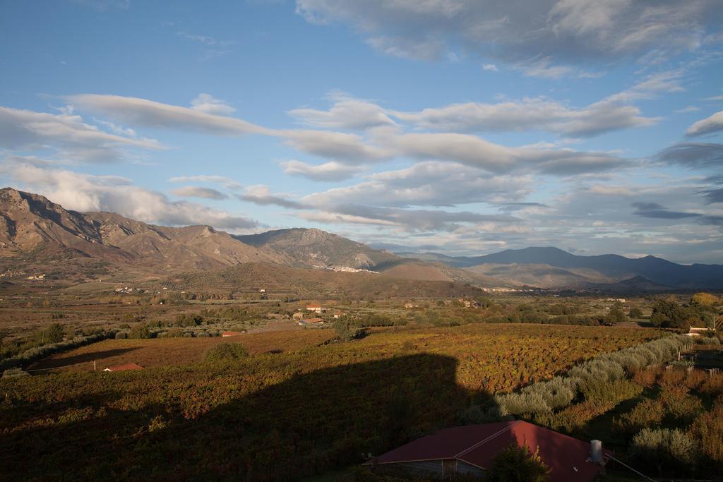 Гостевой дом Feudo Vagliasindi -Wine Experience- Рандаццо Экстерьер фото